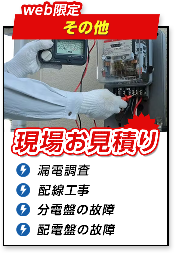 web限定 その他 現場お見積り 漏電調査 配線工事 分電盤の故障 配電盤の故障